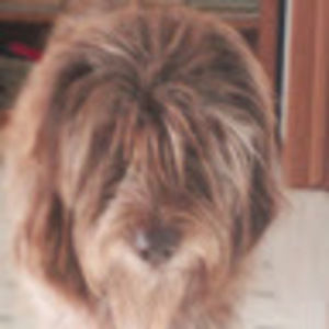 Meet your Posher, Jaclyn